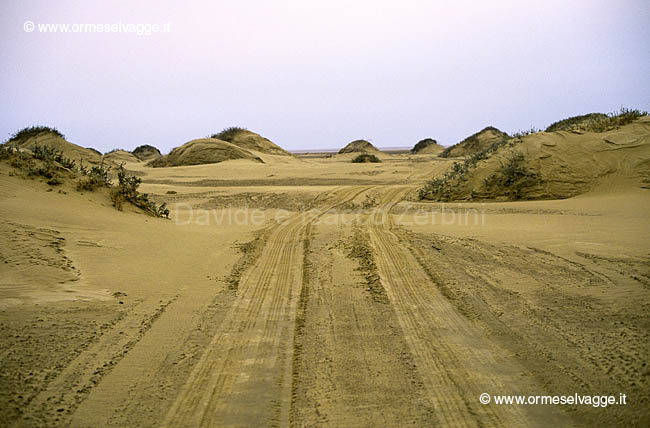 Deserto 56-14-08